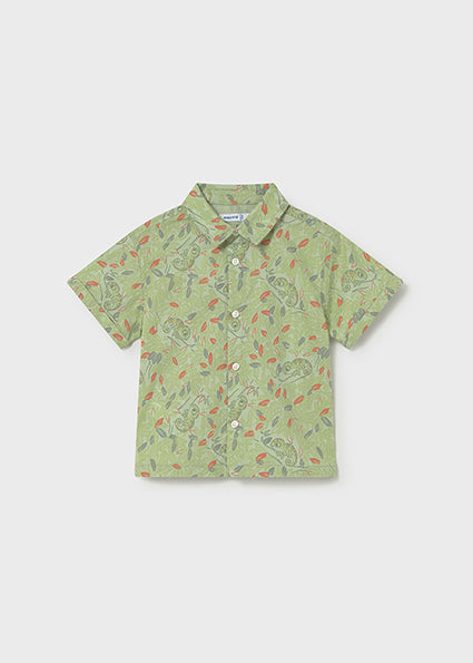 Baby Chameleon Button Up