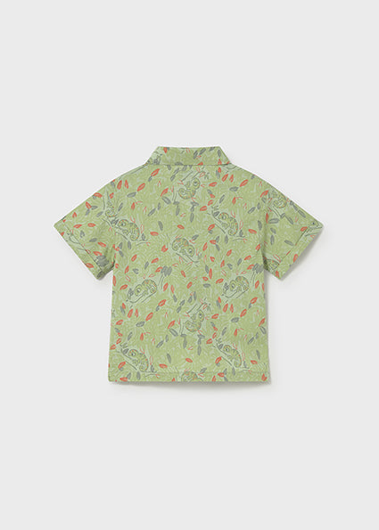 Baby Chameleon Button Up