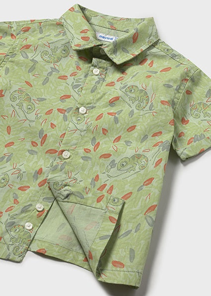 Baby Chameleon Button Up