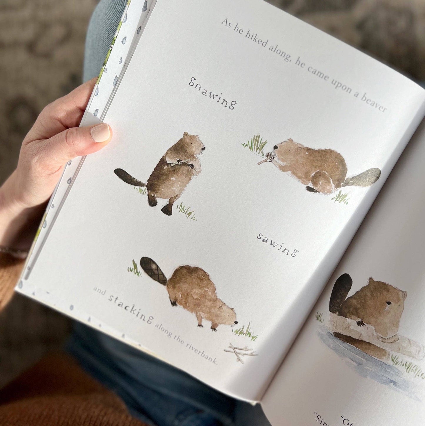 emily lex studio - Build book