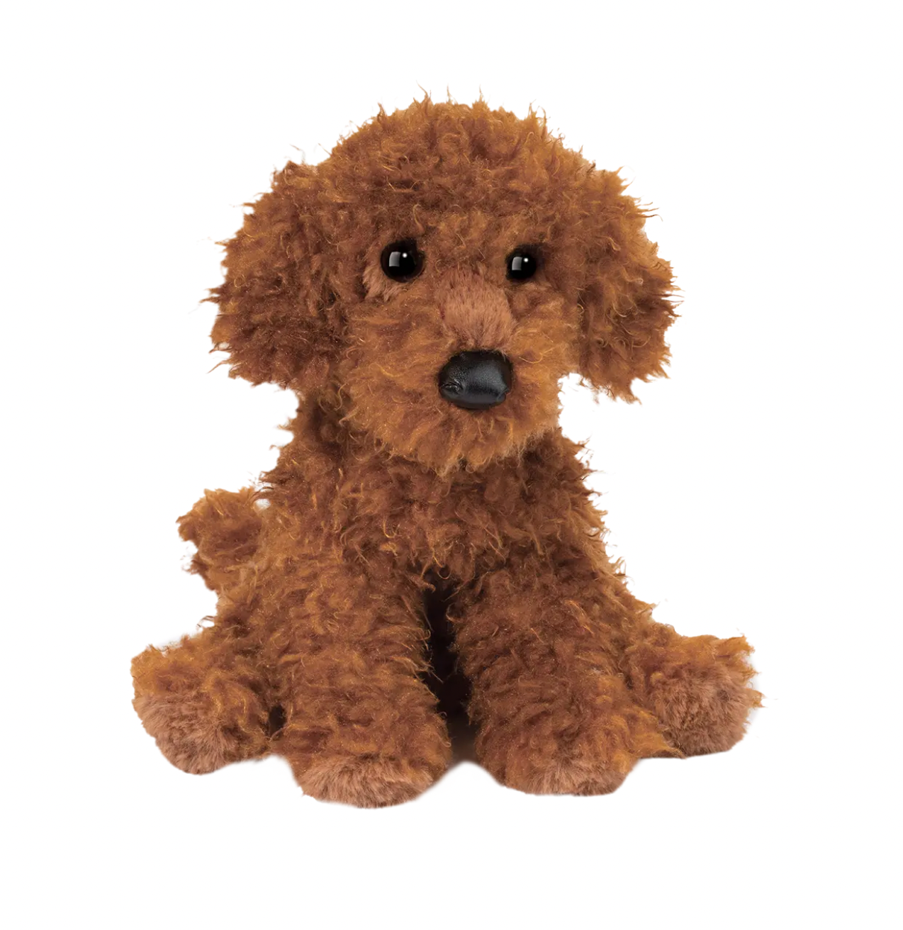 Ginger Miniature Poodle