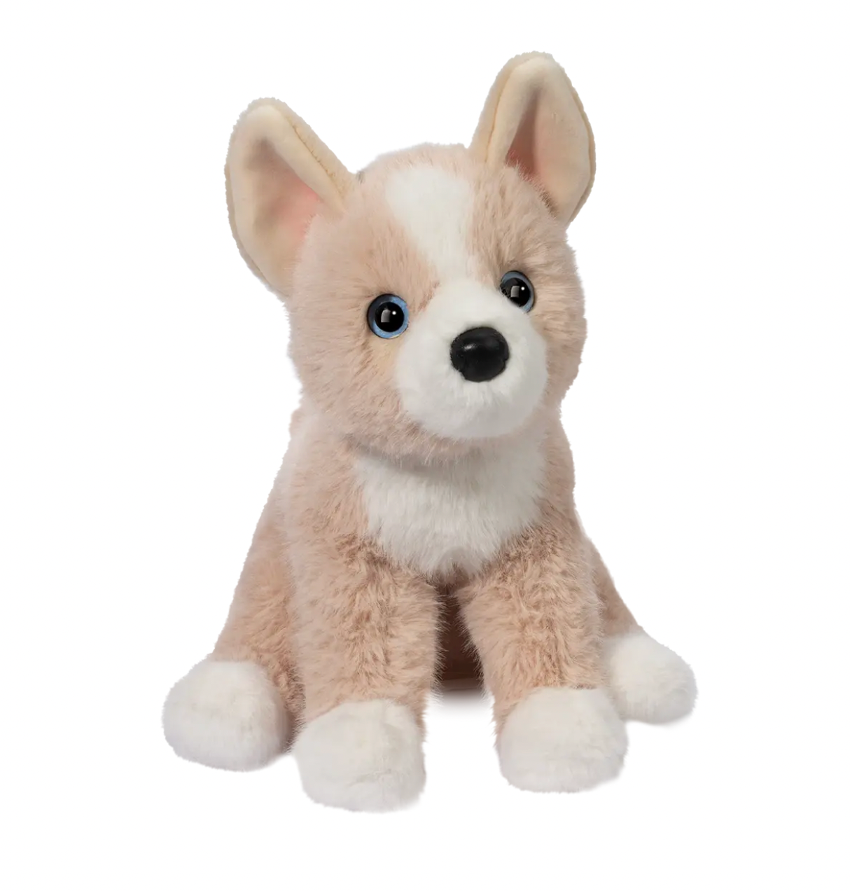 Pookie Pomsky Soft