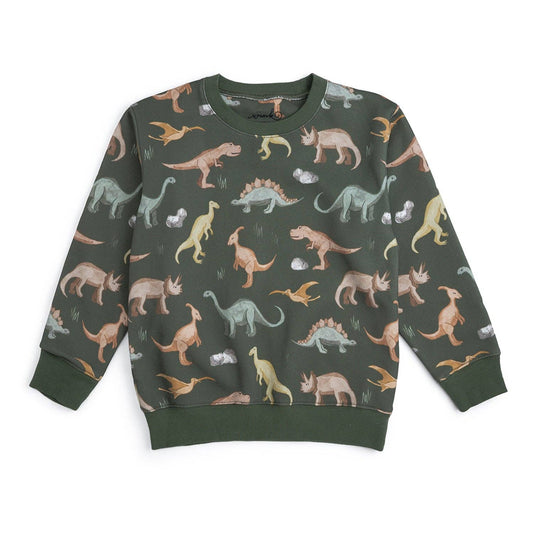 Dinosaurs Rock Sweatshirt - Boys