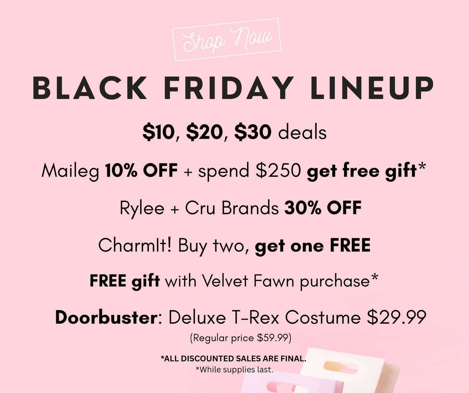 🎉BLACK FRIDAY🎉