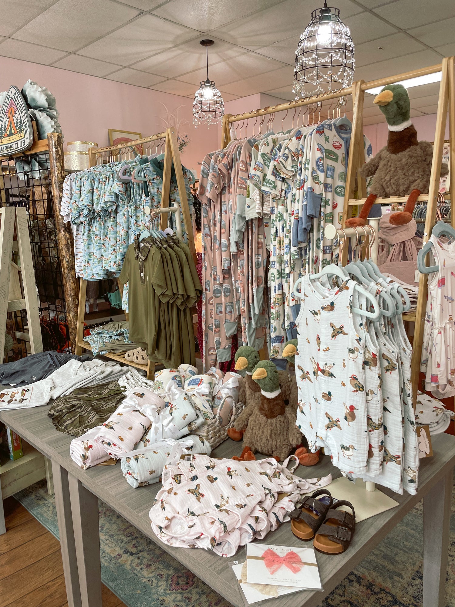 🏕️The National Parks Collection🏕️