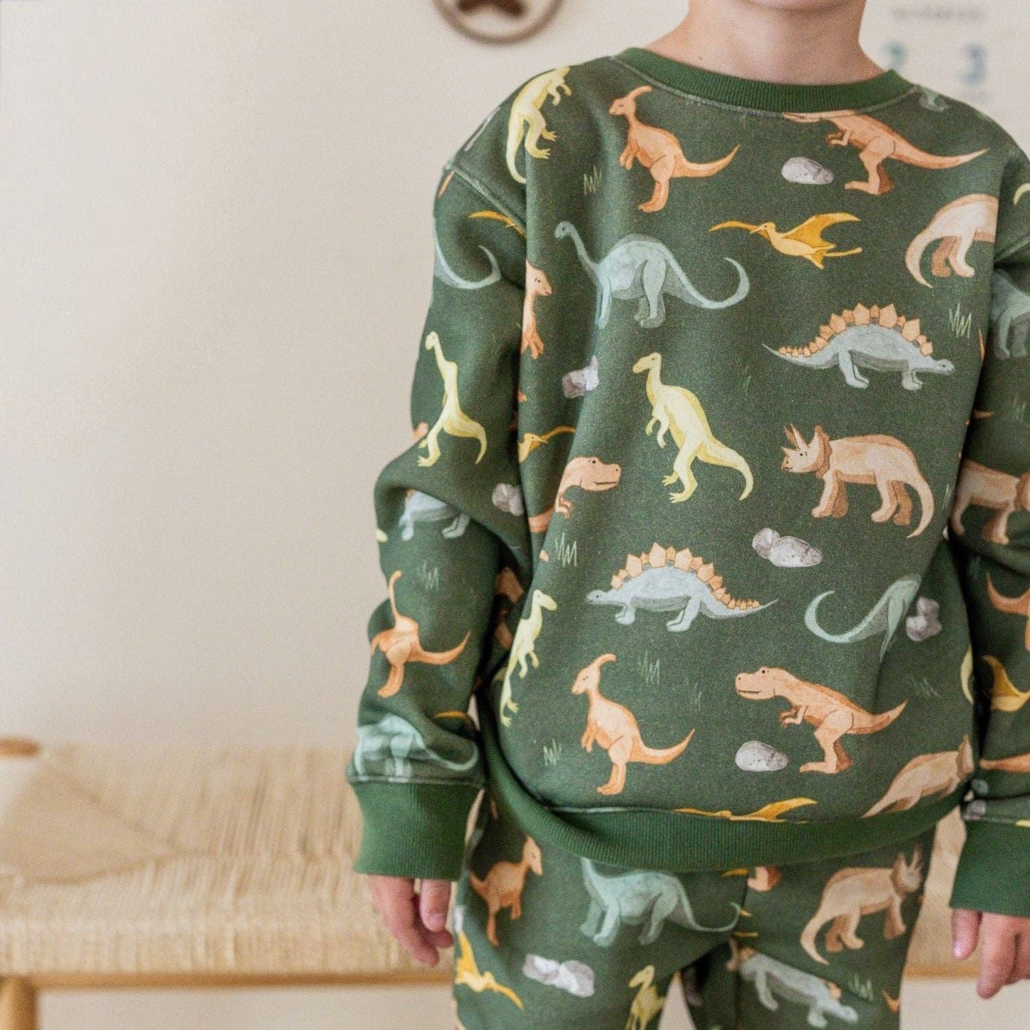 Dinosaurs Rock Sweatshirt - Boys