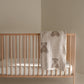 Plush Blanket | Teddy