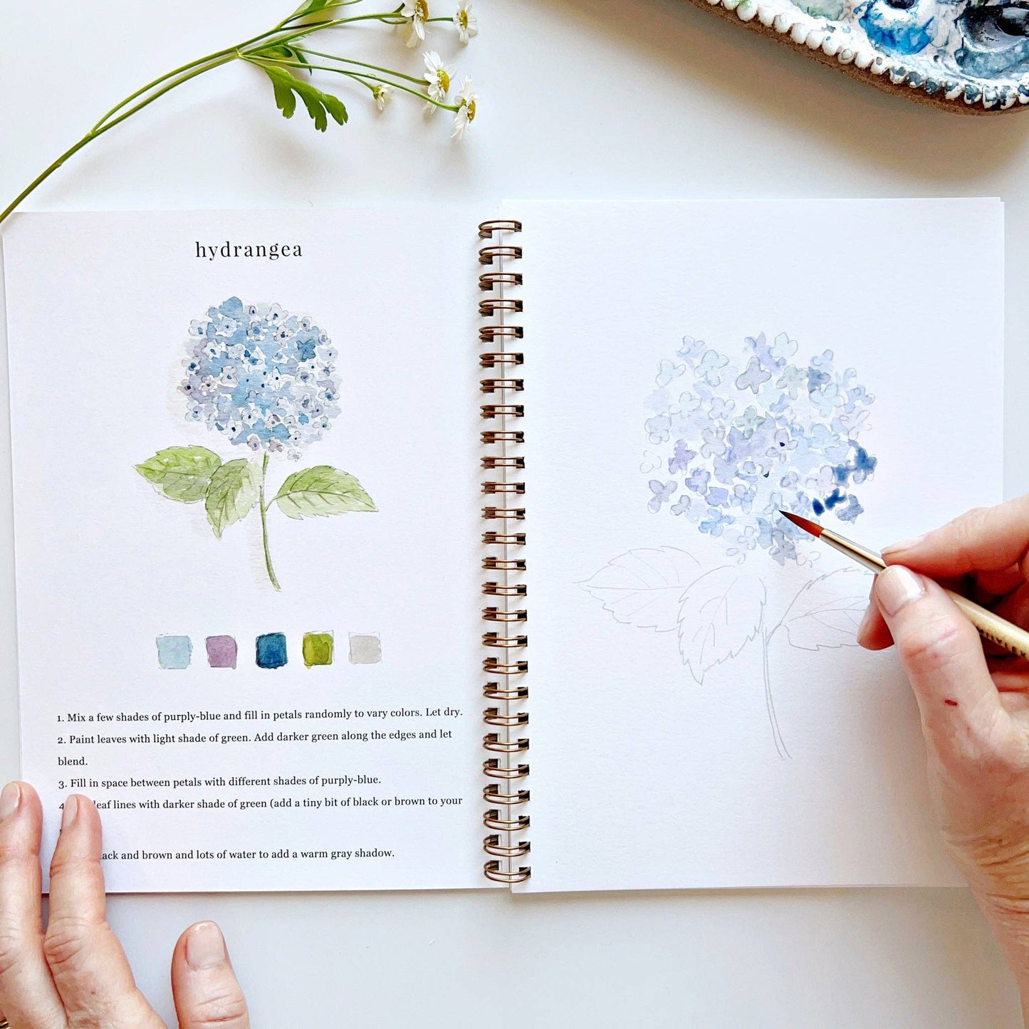 Flowers - Watercolor Workbook