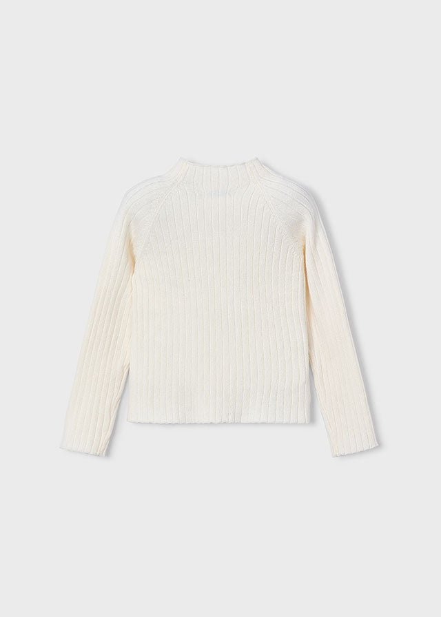 Macchiato Ribbed Turtleneck