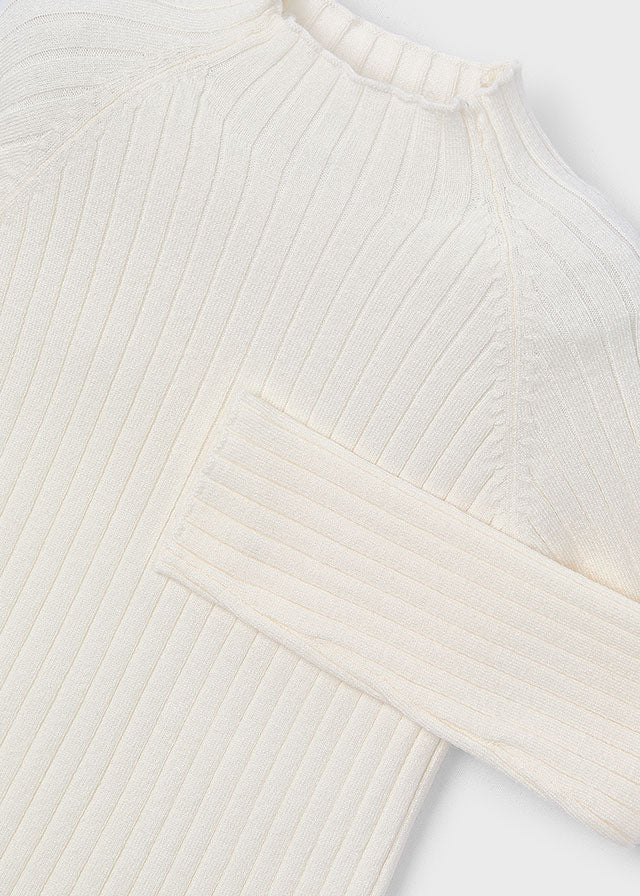 Macchiato Ribbed Turtleneck