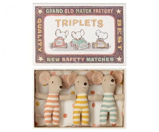 Triplets, Baby Mice in Matchbox