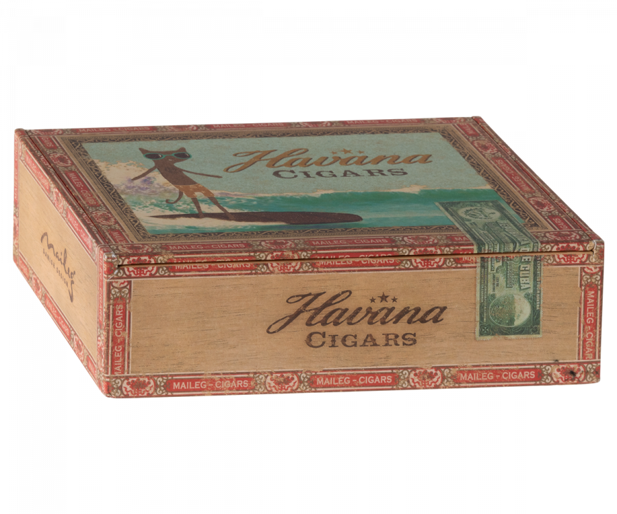 Mum and Dad Mice in Cigar Box