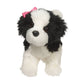 Poofy Shih Tzu Black & White