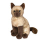 Chai Siamese Cat
