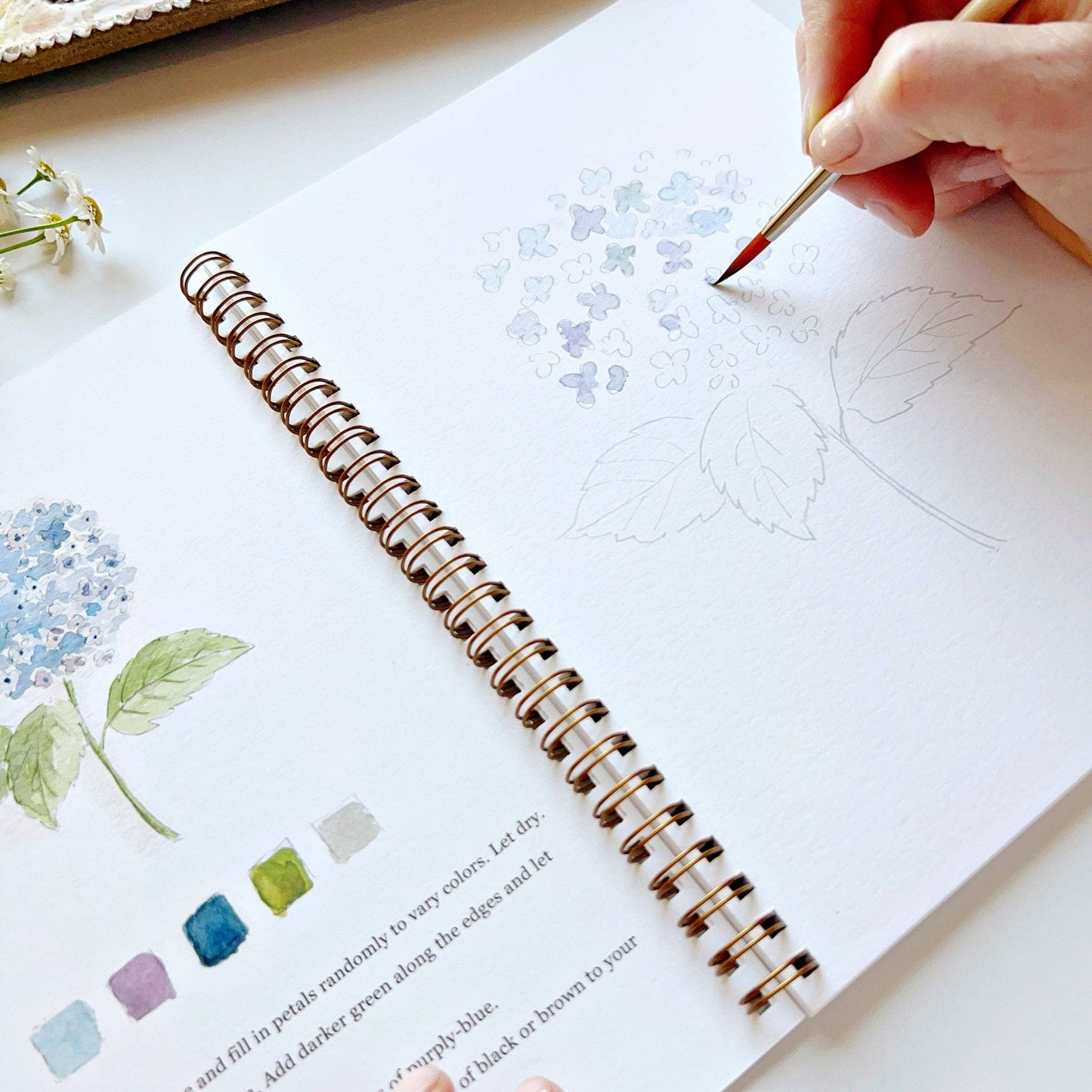 Flowers - Watercolor Workbook