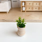 Macy Mae Dollhouse Designs - Dollhouse Potted Plant | Various Sizes + Styles