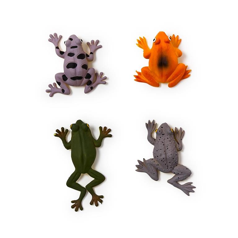 Colorshift Froggy