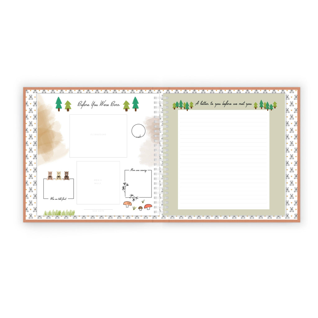 Teddy Bears Picnic - Luxury Memory Book