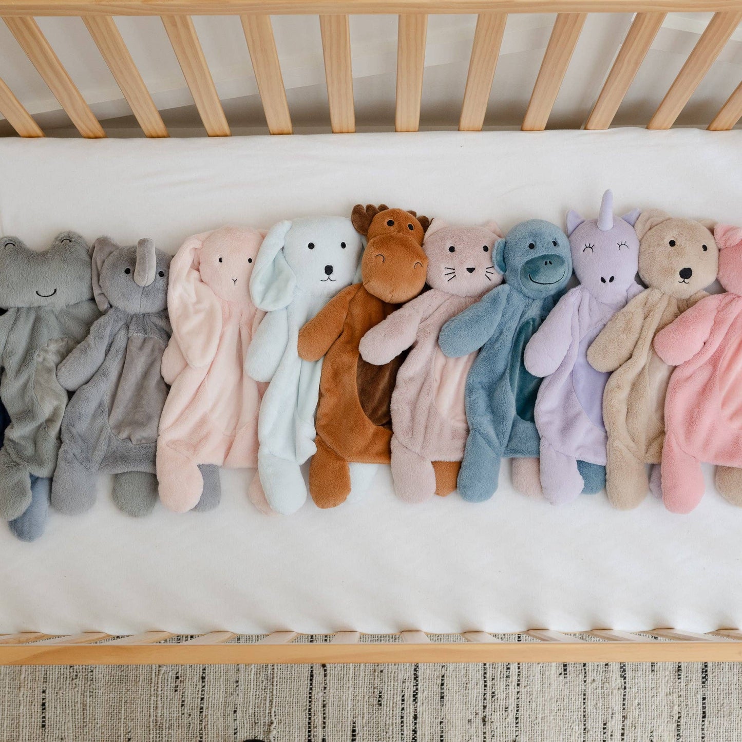 Big Buddy Charlotte the Cat