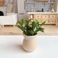 Macy Mae Dollhouse Designs - Dollhouse Potted Plant | Various Sizes + Styles