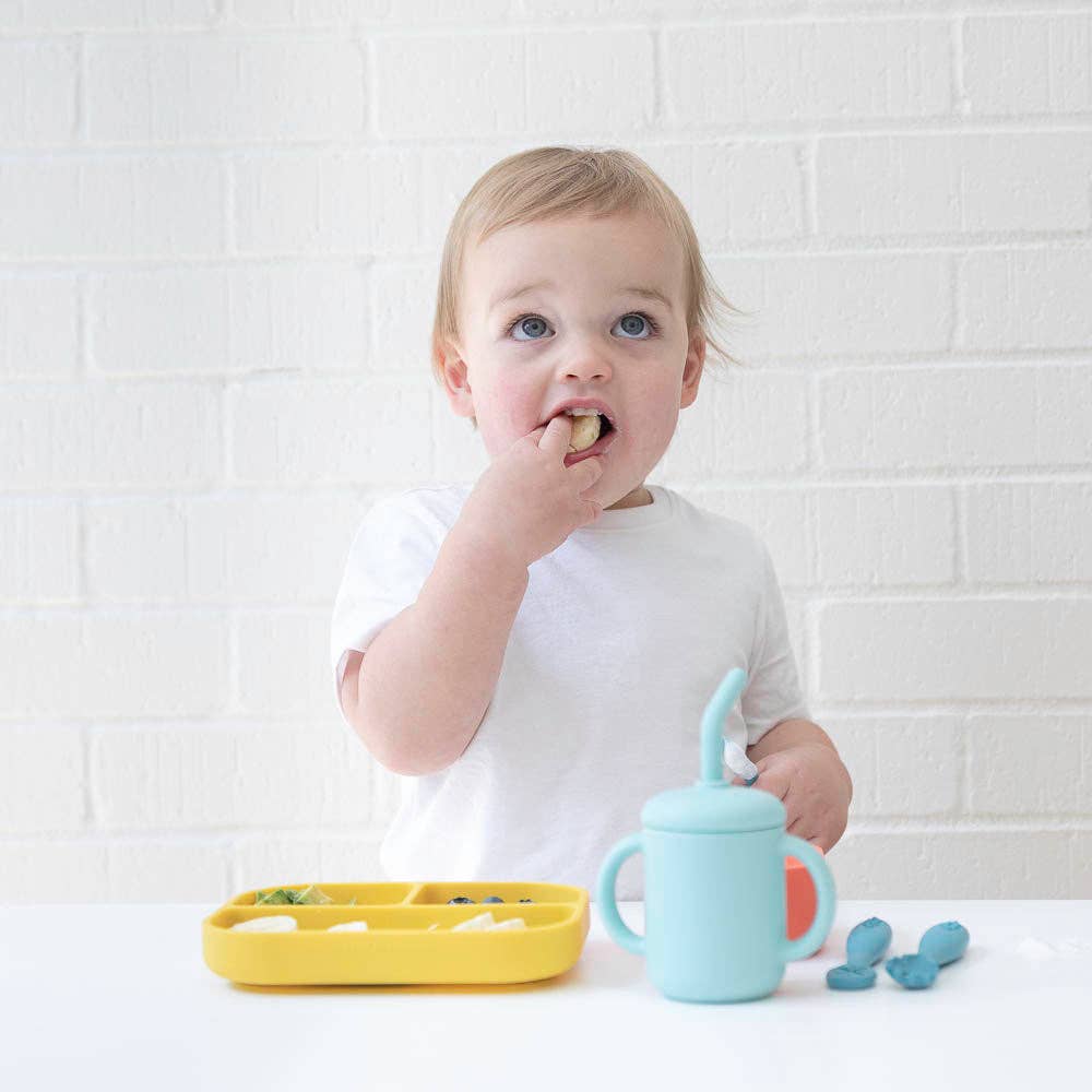 Circus Fun - Learn to Eat Beginner Bundle- Little Bites
