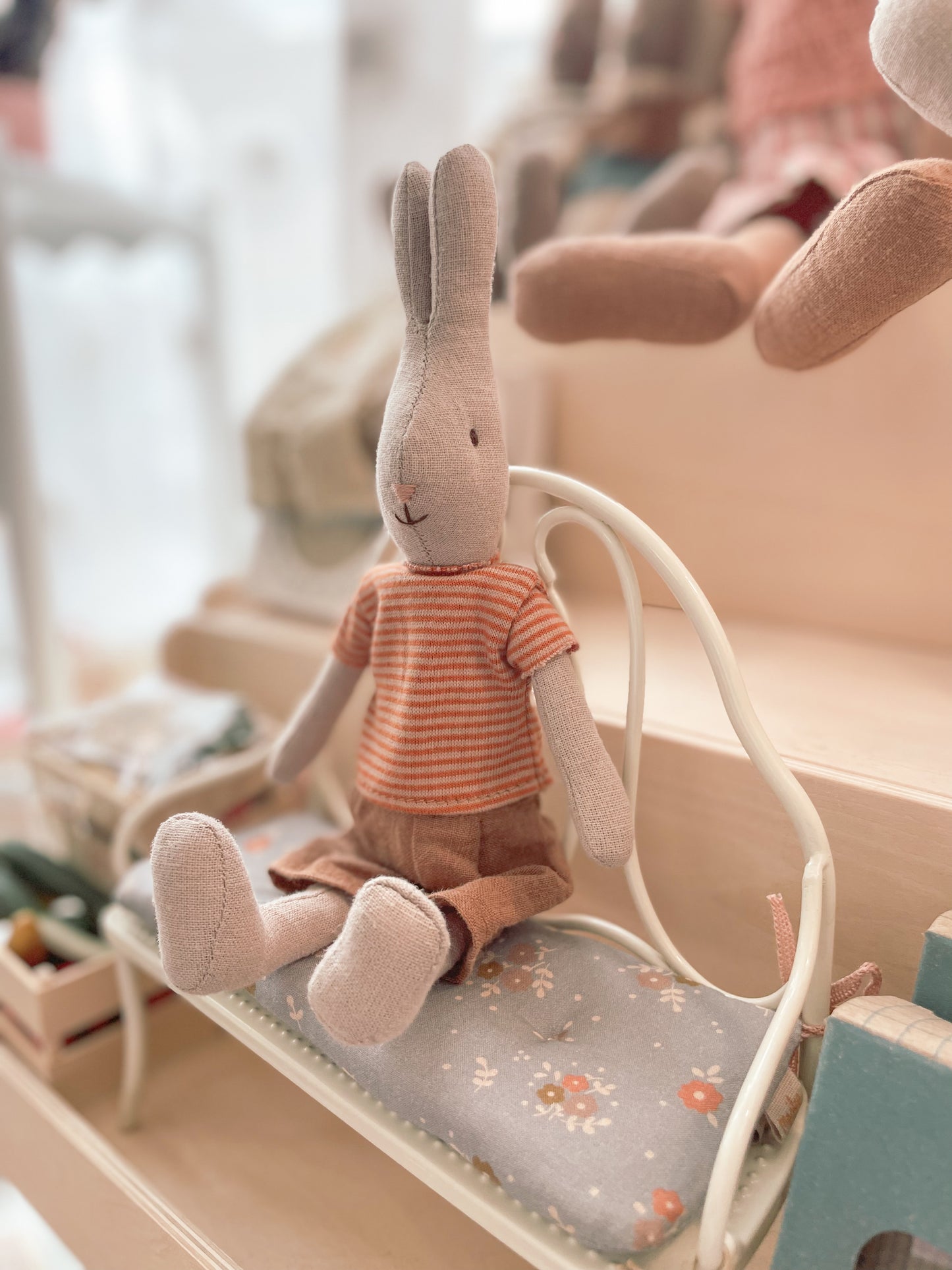 Rabbit size 1, Classic - T-shirt and Shorts