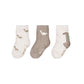 Dino Patterned socks set