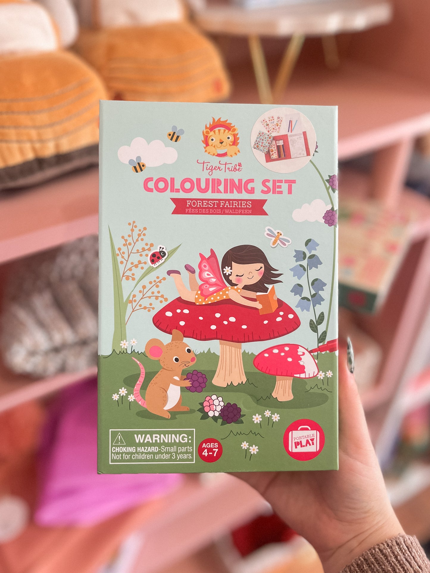 Colouring Set - Forest Fairies
