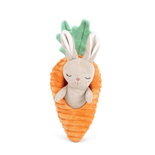 Bunny in Carrot - Activity Toy