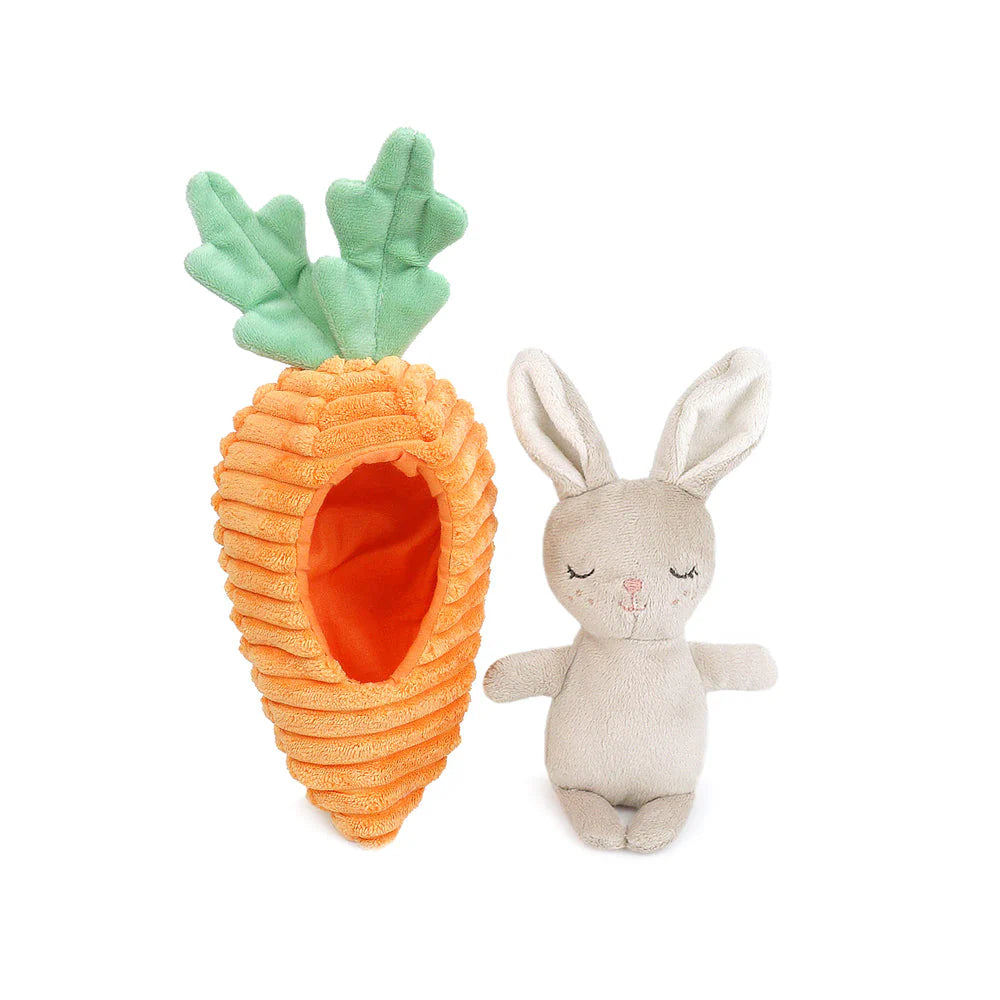 Bunny in Carrot - Activity Toy