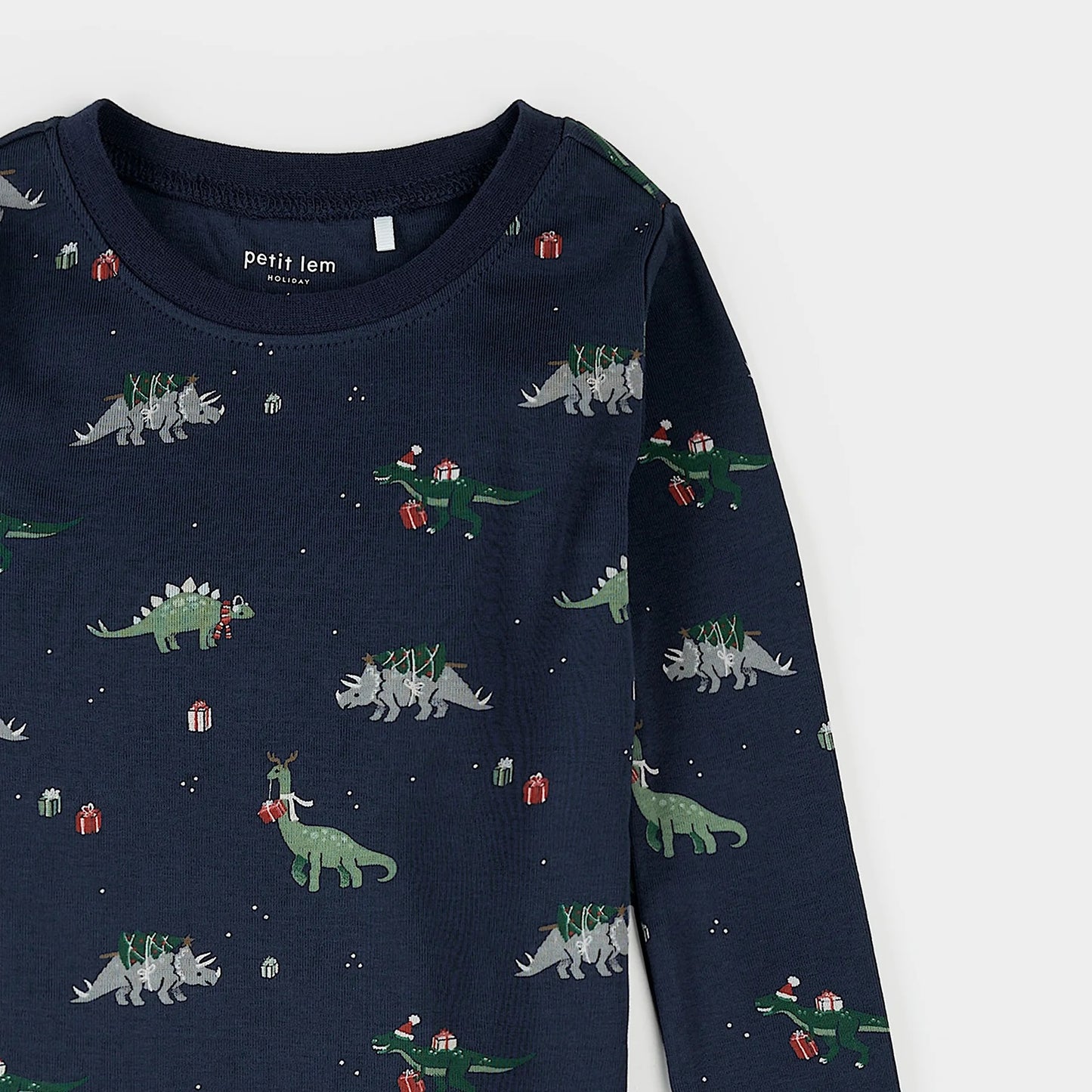 Holiday Dinosaur Print on Navy PJ Set