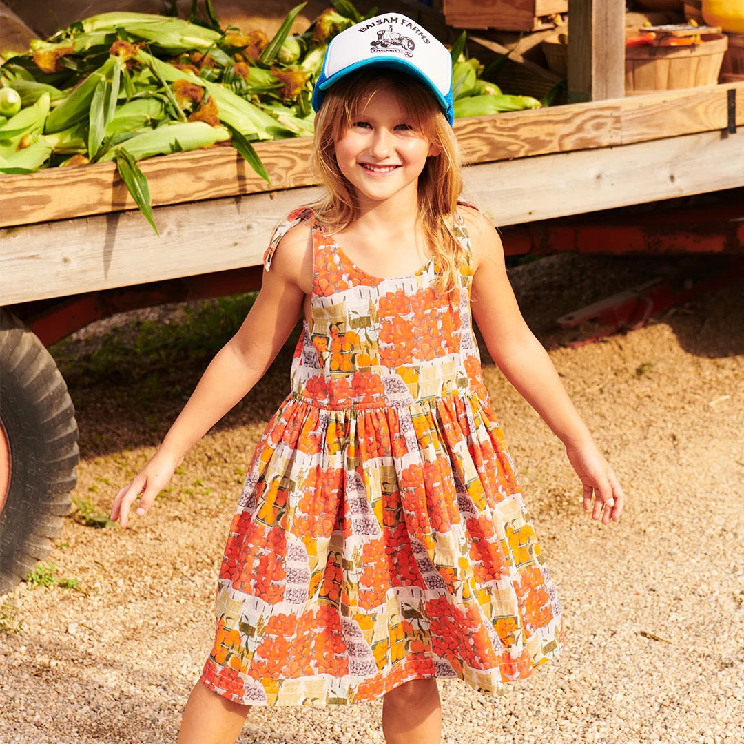 Taylor Dress - Berries + Oranges