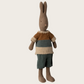 Rabbit size 2, Brown - Shirt and Shorts