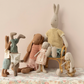 Rabbit size 3, Classic - Knitted Shirt and Pants