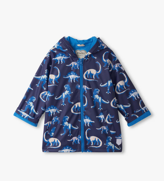 Color Changing Raincoat - Painted Dinos