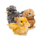 Baby Chicks