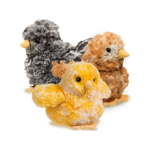 Baby Chicks