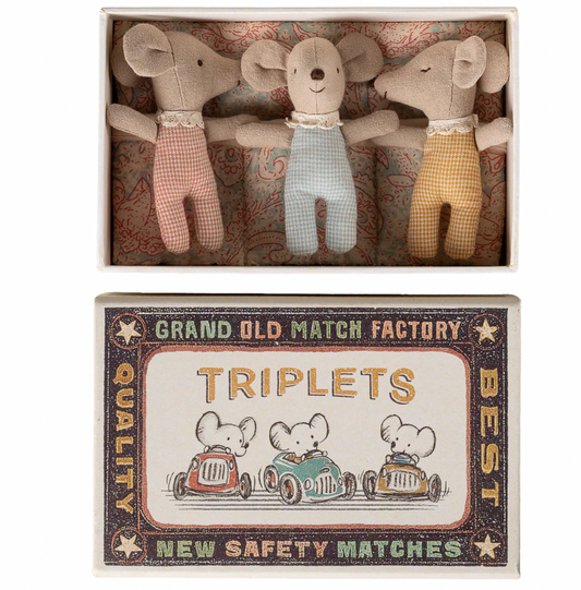 Triplets, Baby Mice in Matchbox Spring '26