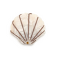 Seashell Compact Mirror