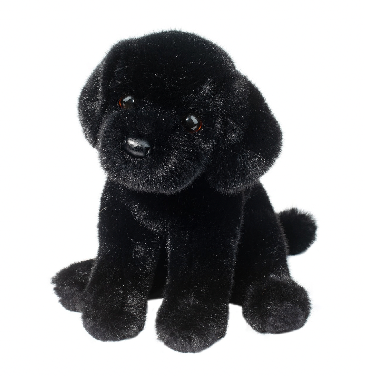 Ford Black Lab