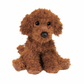 Ginger Miniature Poodle
