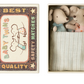 Twins, Baby Mice in Matchbox