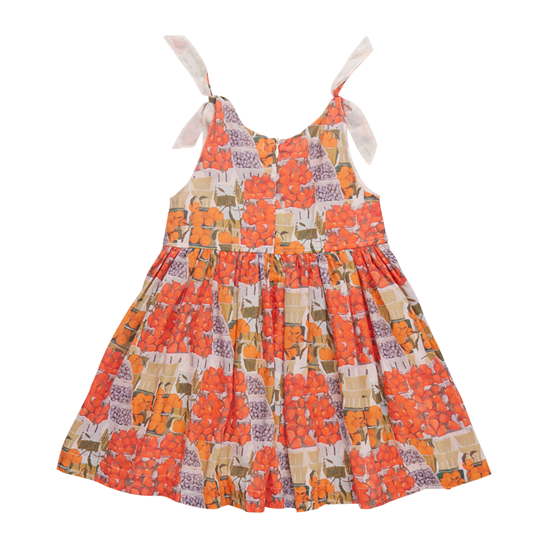 Taylor Dress - Berries + Oranges