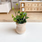 Macy Mae Dollhouse Designs - Dollhouse Potted Plant | Various Sizes + Styles