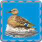 Birds Little Memory & Matching Game