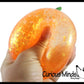 1 Boxed Realistic Pumpkin Jack o Lantern Sugar Ball - Thick