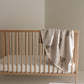 Plush Blanket | Teddy
