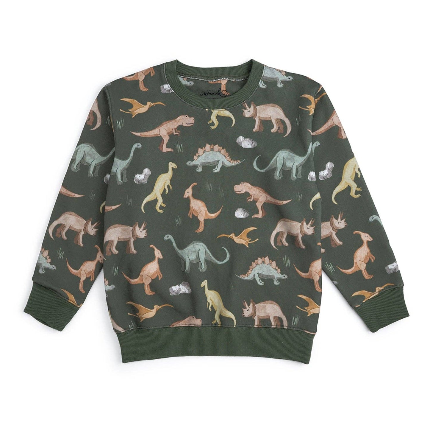 Dinosaurs Rock Sweatshirt - Boys