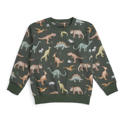 Dinosaurs Rock Sweatshirt - Boys