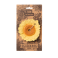 Oli & Carol Sunflower Teether